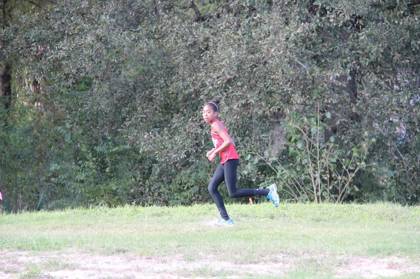 2015 USATF Gulf Cross Country Championships — Houston Texas — photo 245