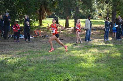 2015 USATF Gulf Cross Country Championships — Houston Texas — photo 263