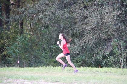 2015 USATF Gulf Cross Country Championships — Houston Texas — photo 369