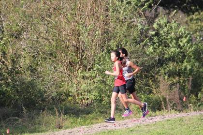 2015 USATF Gulf Cross Country Championships — Houston Texas — photo 393