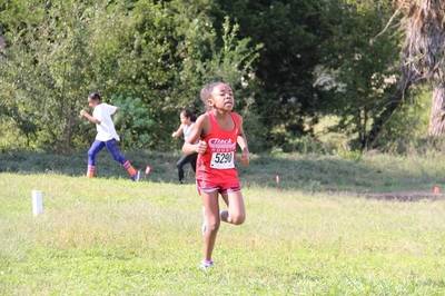 2015 USATF Gulf Cross Country Championships — Houston Texas — photo 396