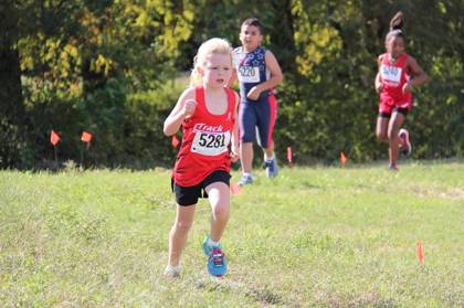 2015 USATF Gulf Cross Country Championships — Houston Texas — photo 425