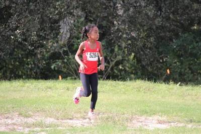 2015 USATF Gulf Cross Country Championships — Houston Texas — photo 428