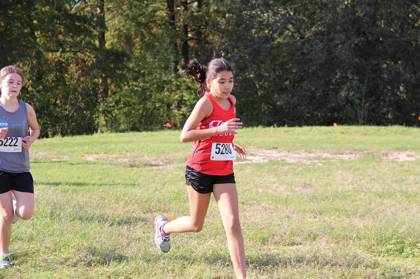 2015 USATF Gulf Cross Country Championships — Houston Texas — photo 499