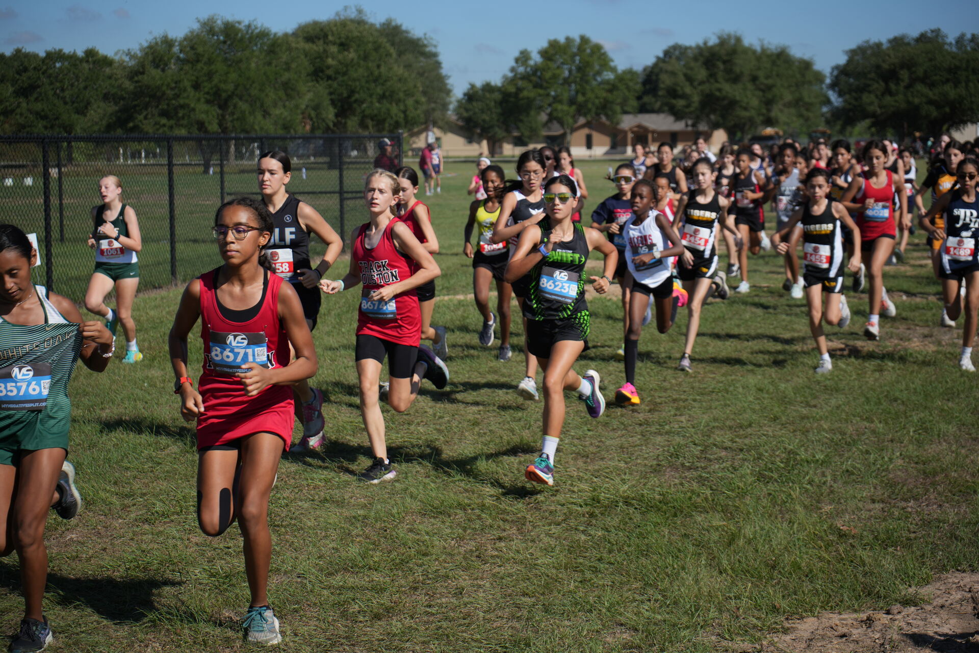 Track Houston runners charge off the start line at a cross country meet.